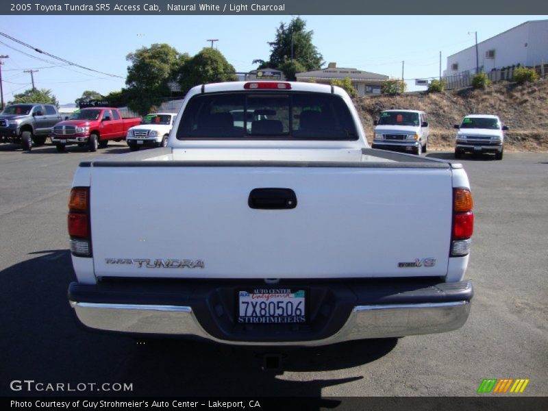 Natural White / Light Charcoal 2005 Toyota Tundra SR5 Access Cab
