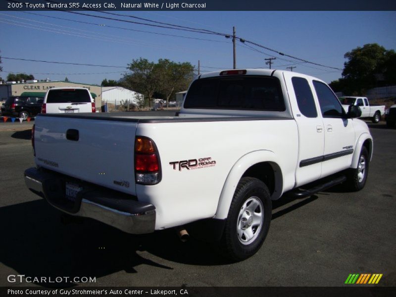 Natural White / Light Charcoal 2005 Toyota Tundra SR5 Access Cab