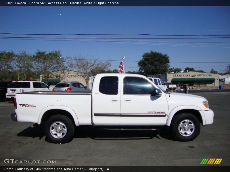 Natural White / Light Charcoal 2005 Toyota Tundra SR5 Access Cab