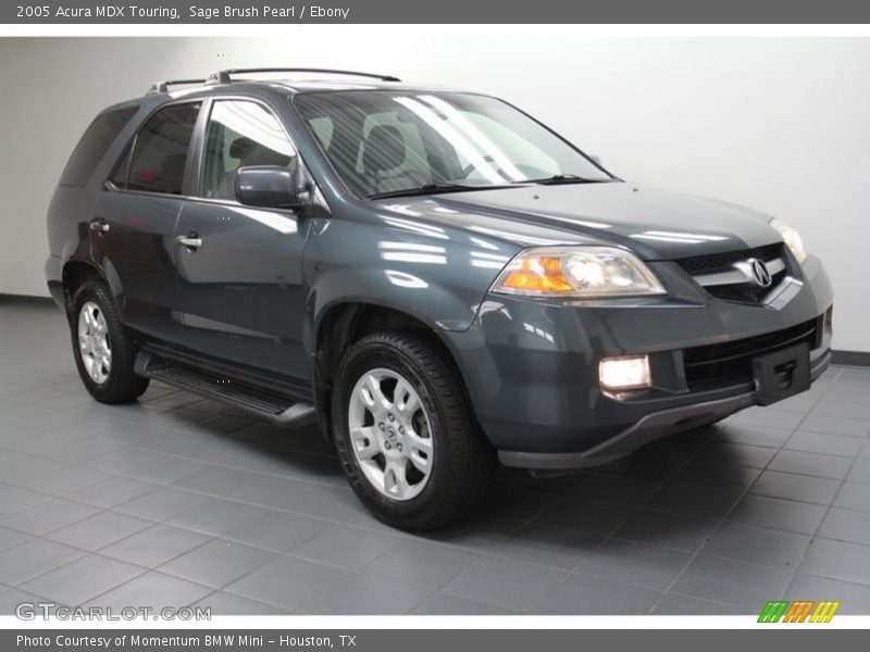 Sage Brush Pearl / Ebony 2005 Acura MDX Touring