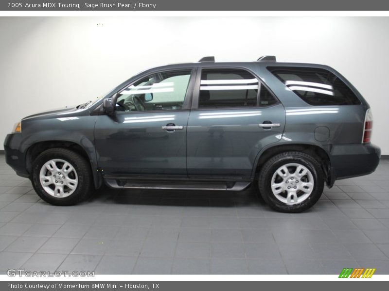 Sage Brush Pearl / Ebony 2005 Acura MDX Touring