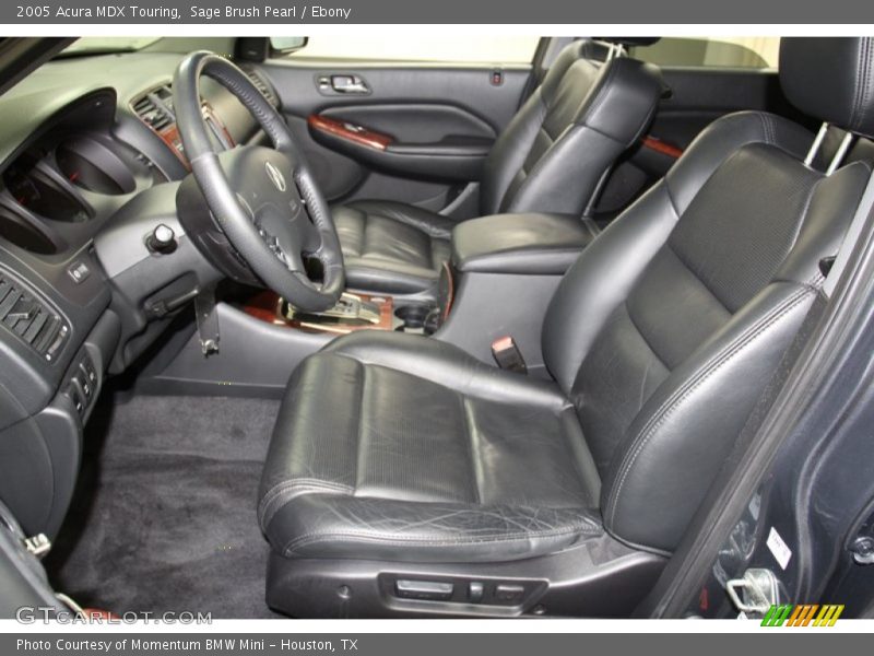 Sage Brush Pearl / Ebony 2005 Acura MDX Touring