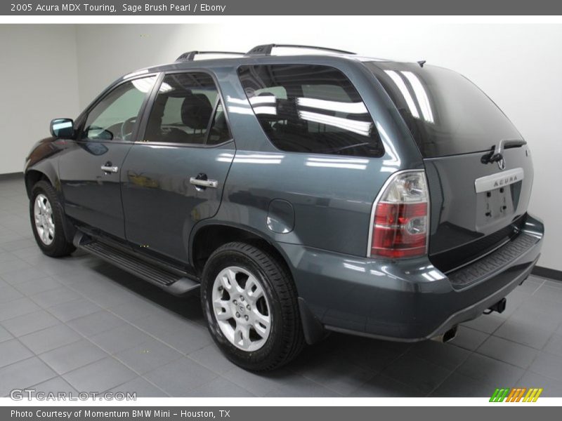 Sage Brush Pearl / Ebony 2005 Acura MDX Touring