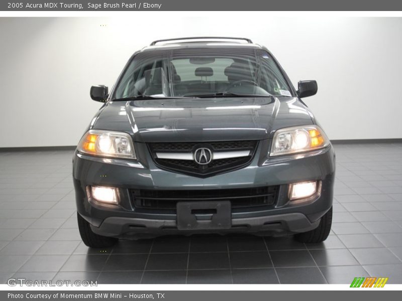 Sage Brush Pearl / Ebony 2005 Acura MDX Touring