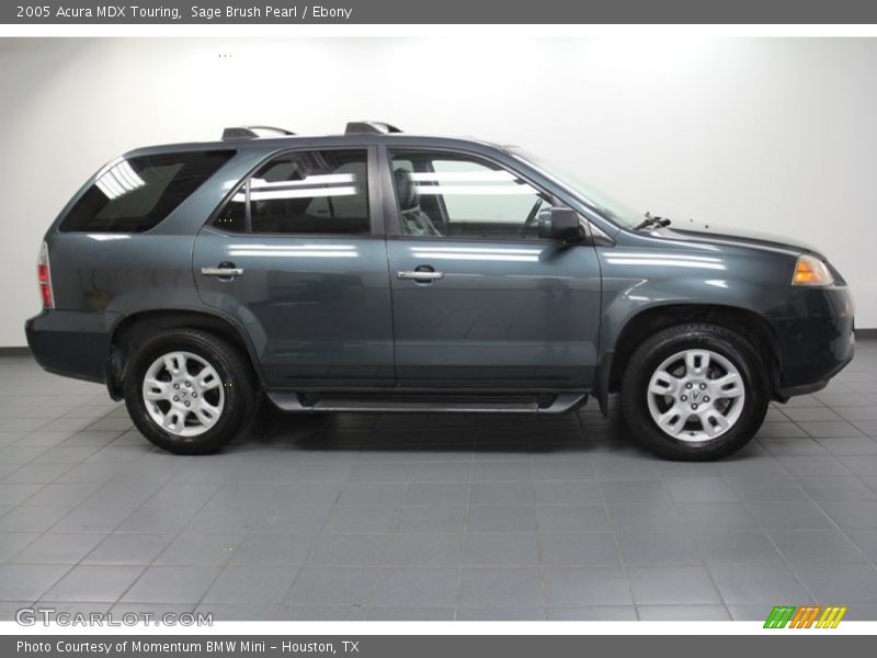 Sage Brush Pearl / Ebony 2005 Acura MDX Touring