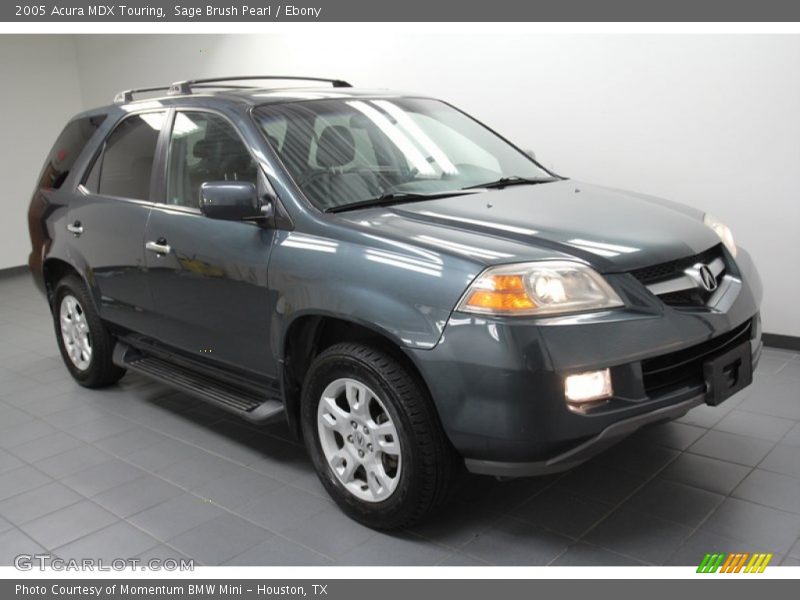 Sage Brush Pearl / Ebony 2005 Acura MDX Touring