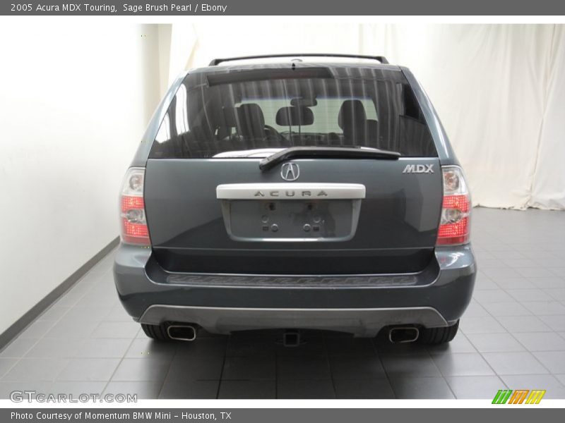 Sage Brush Pearl / Ebony 2005 Acura MDX Touring