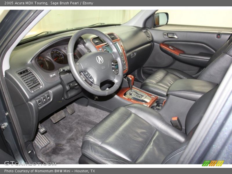 Sage Brush Pearl / Ebony 2005 Acura MDX Touring