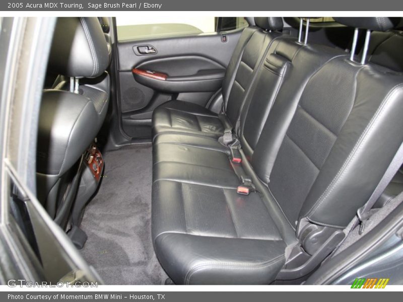 Sage Brush Pearl / Ebony 2005 Acura MDX Touring
