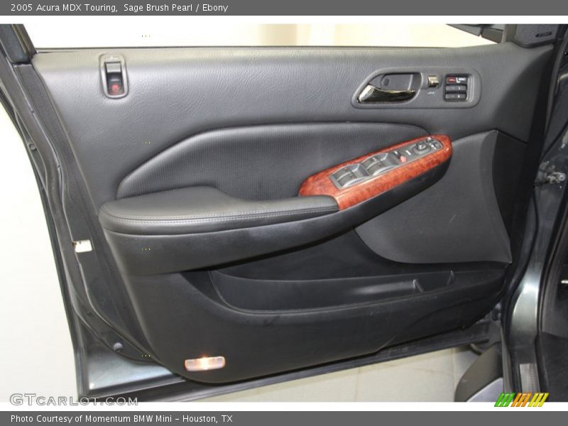 Sage Brush Pearl / Ebony 2005 Acura MDX Touring