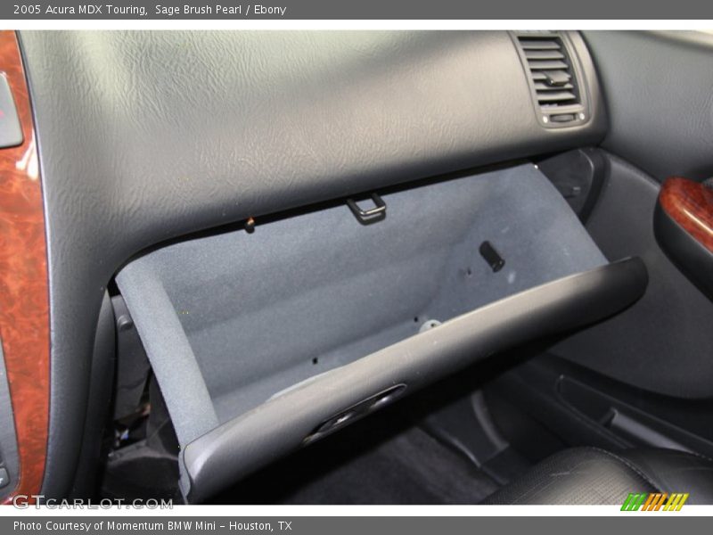 Sage Brush Pearl / Ebony 2005 Acura MDX Touring
