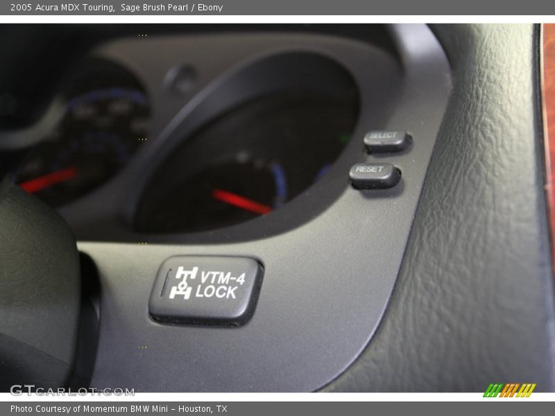Sage Brush Pearl / Ebony 2005 Acura MDX Touring