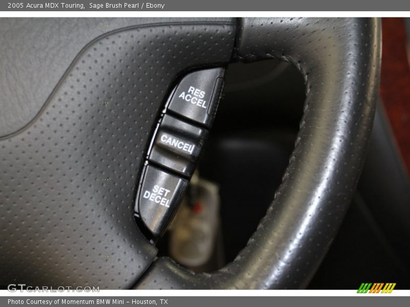 Sage Brush Pearl / Ebony 2005 Acura MDX Touring