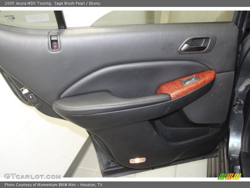 Sage Brush Pearl / Ebony 2005 Acura MDX Touring
