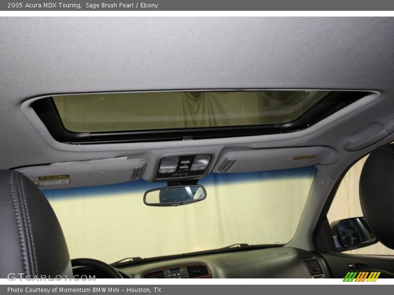 Sage Brush Pearl / Ebony 2005 Acura MDX Touring