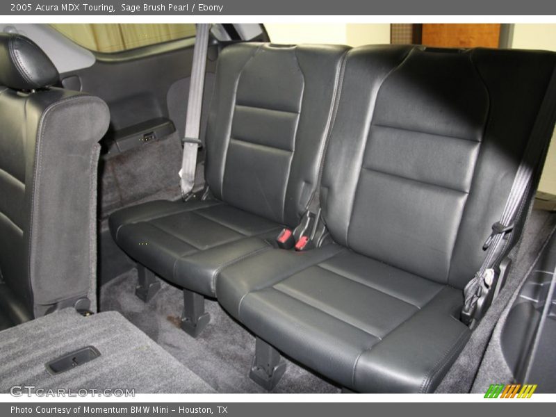 Sage Brush Pearl / Ebony 2005 Acura MDX Touring