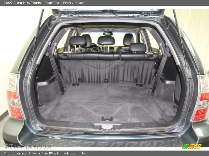 Sage Brush Pearl / Ebony 2005 Acura MDX Touring