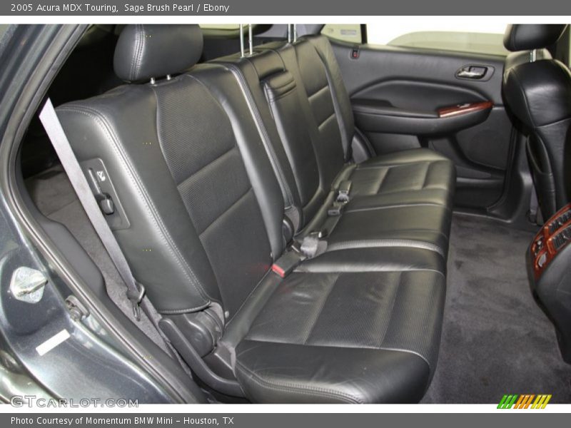 Sage Brush Pearl / Ebony 2005 Acura MDX Touring