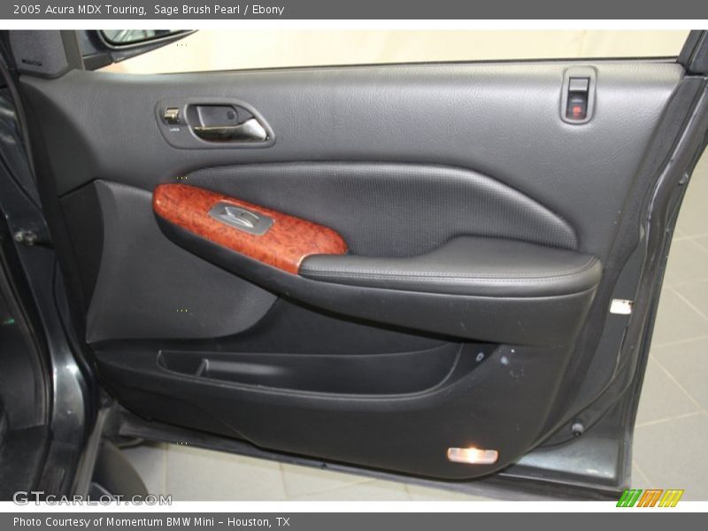 Sage Brush Pearl / Ebony 2005 Acura MDX Touring