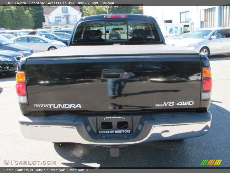 Black / Light Charcoal 2003 Toyota Tundra SR5 Access Cab 4x4