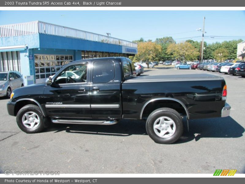 Black / Light Charcoal 2003 Toyota Tundra SR5 Access Cab 4x4
