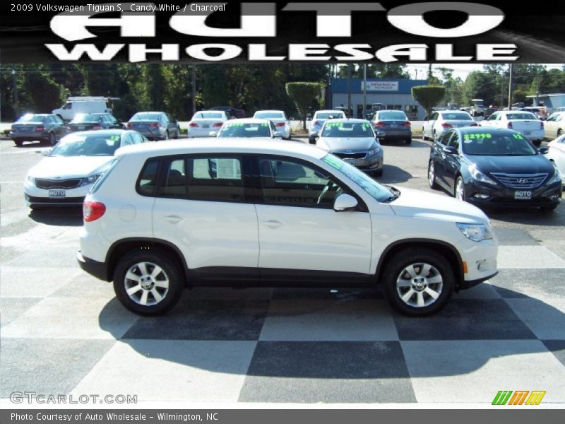 Candy White / Charcoal 2009 Volkswagen Tiguan S