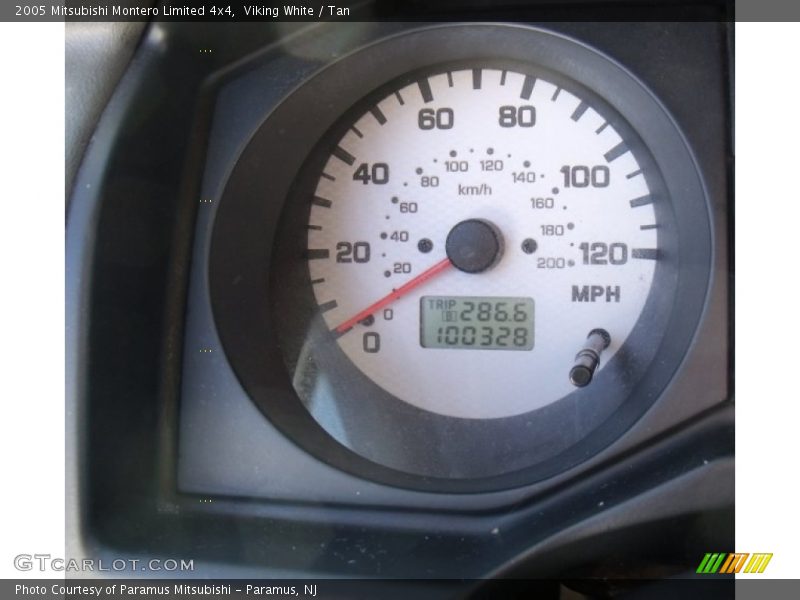 Viking White / Tan 2005 Mitsubishi Montero Limited 4x4