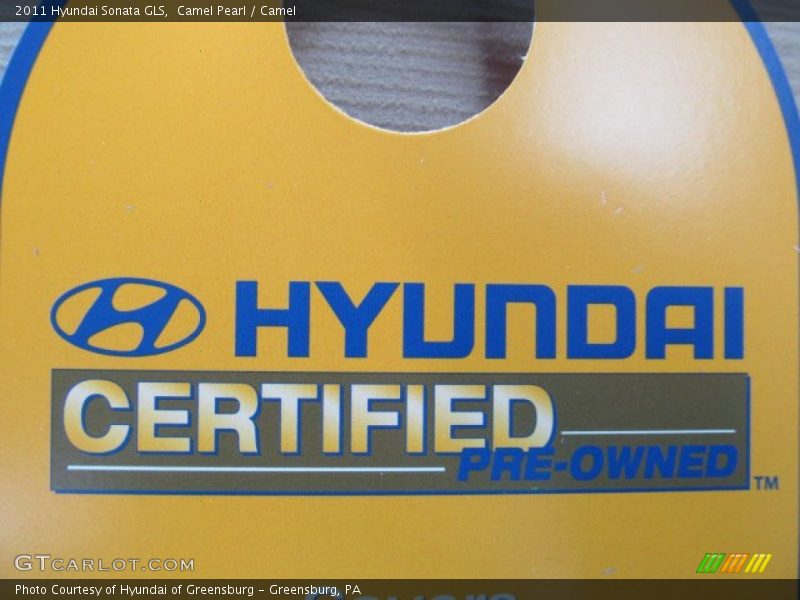 Camel Pearl / Camel 2011 Hyundai Sonata GLS