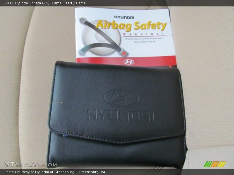 Camel Pearl / Camel 2011 Hyundai Sonata GLS