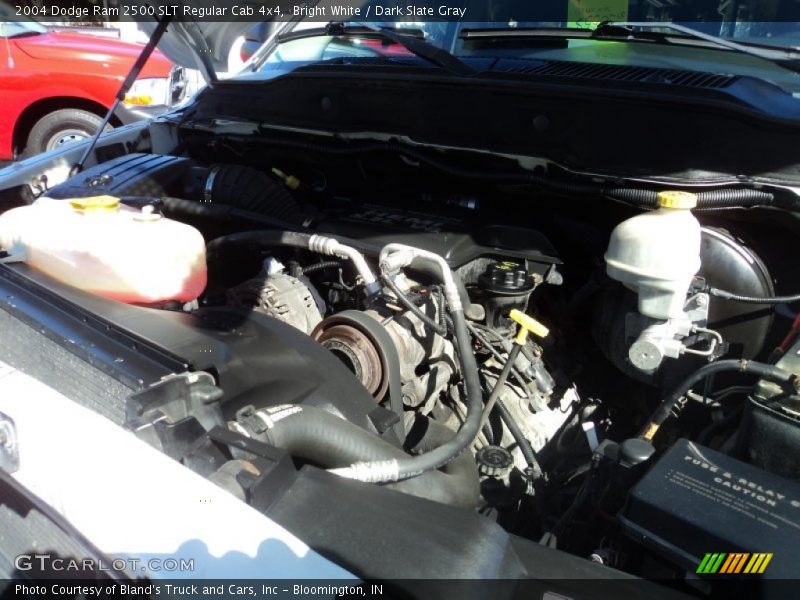 Bright White / Dark Slate Gray 2004 Dodge Ram 2500 SLT Regular Cab 4x4
