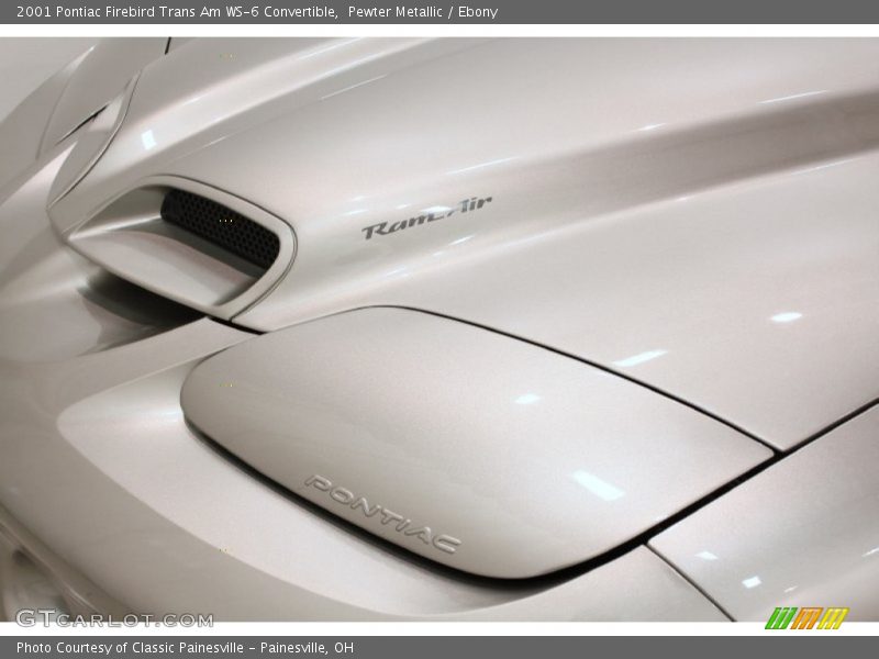 Ram Air - 2001 Pontiac Firebird Trans Am WS-6 Convertible