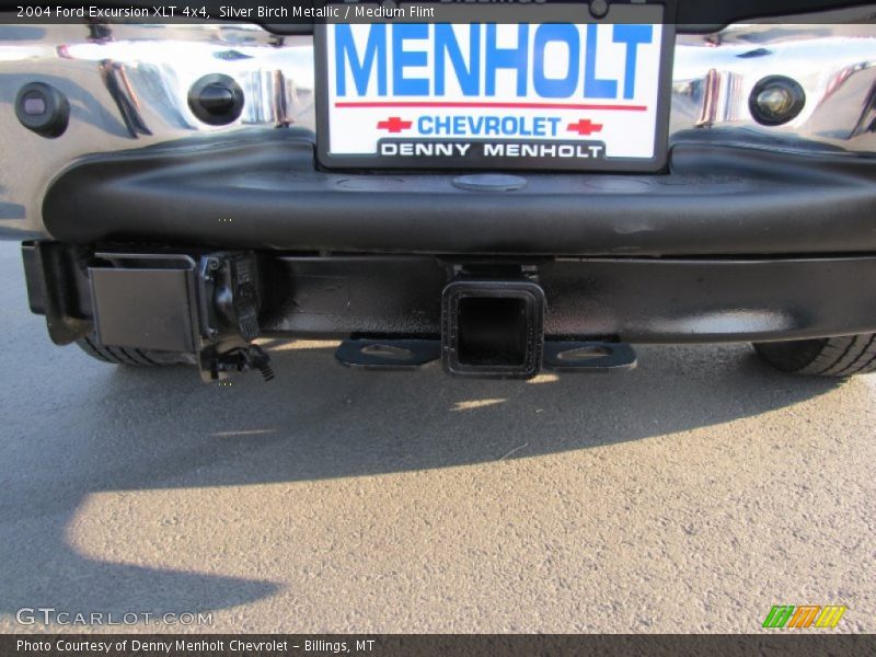 Silver Birch Metallic / Medium Flint 2004 Ford Excursion XLT 4x4