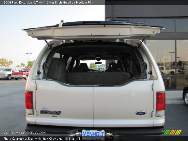 Silver Birch Metallic / Medium Flint 2004 Ford Excursion XLT 4x4