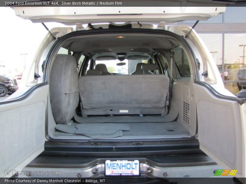 Silver Birch Metallic / Medium Flint 2004 Ford Excursion XLT 4x4