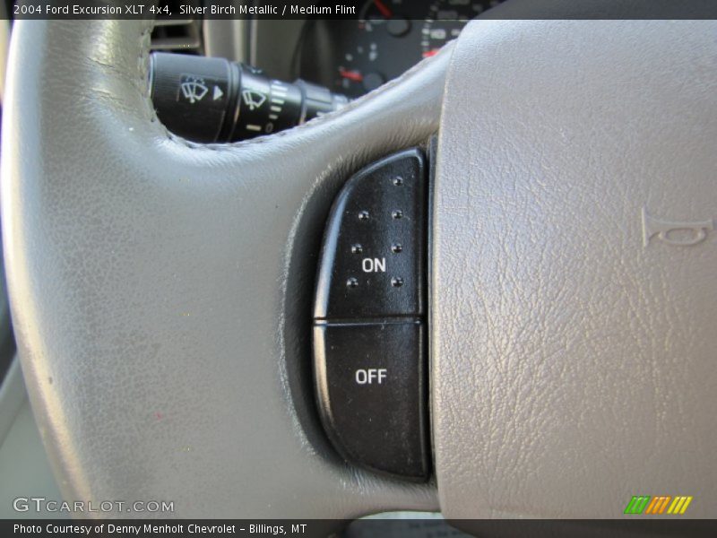Silver Birch Metallic / Medium Flint 2004 Ford Excursion XLT 4x4