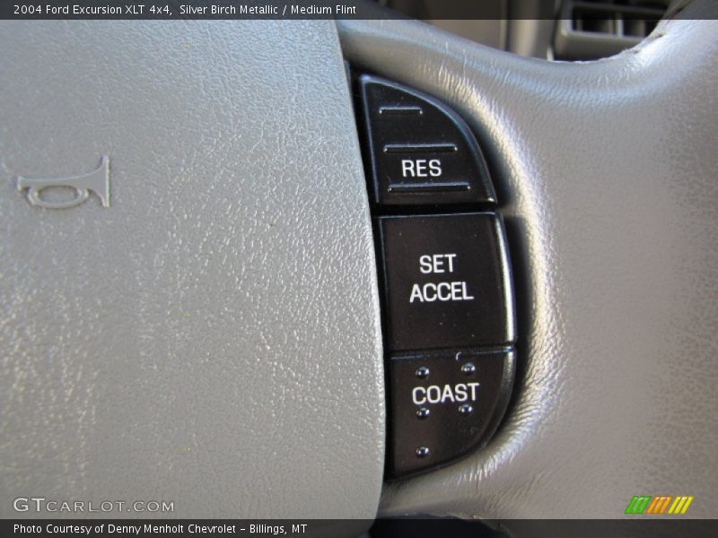 Silver Birch Metallic / Medium Flint 2004 Ford Excursion XLT 4x4