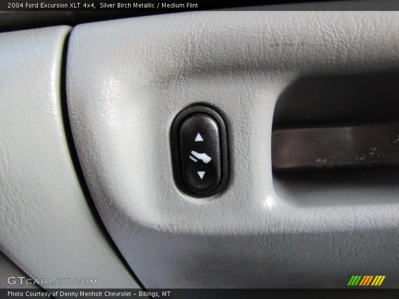 Silver Birch Metallic / Medium Flint 2004 Ford Excursion XLT 4x4