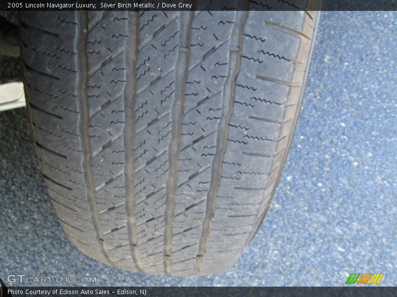 Silver Birch Metallic / Dove Grey 2005 Lincoln Navigator Luxury
