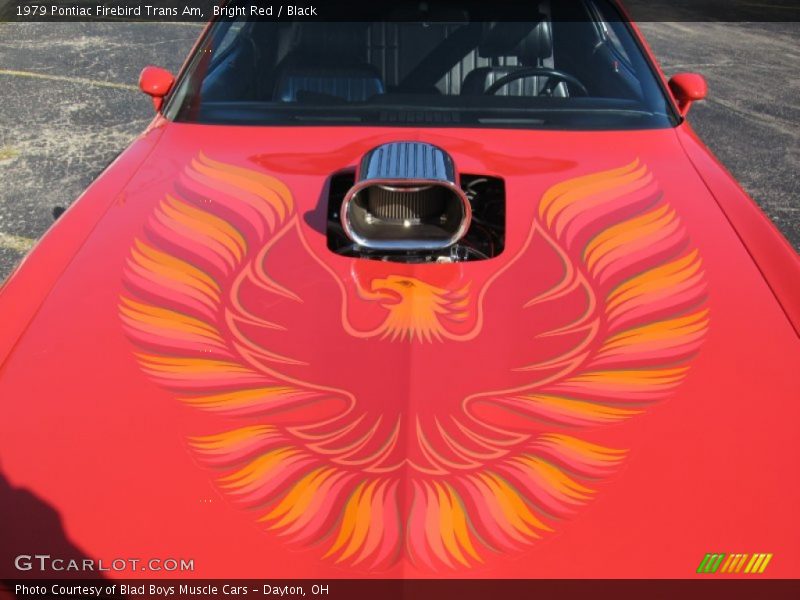Firebird hood graphics - 1979 Pontiac Firebird Trans Am