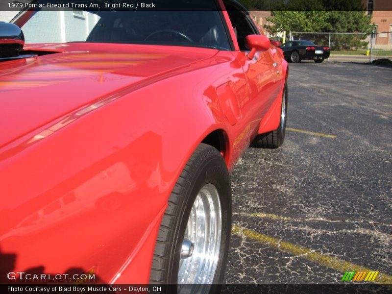 Bright Red / Black 1979 Pontiac Firebird Trans Am