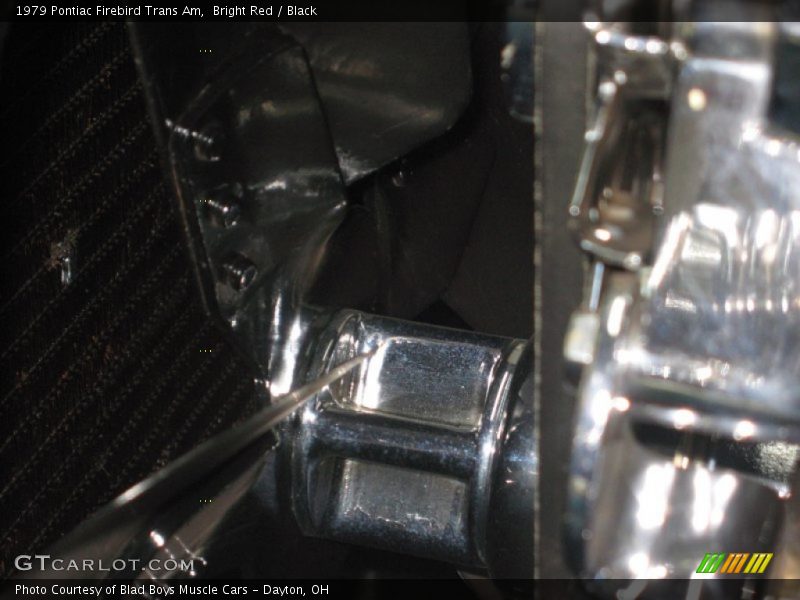 Bright Red / Black 1979 Pontiac Firebird Trans Am