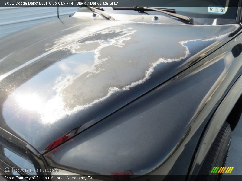 Black / Dark Slate Gray 2001 Dodge Dakota SLT Club Cab 4x4