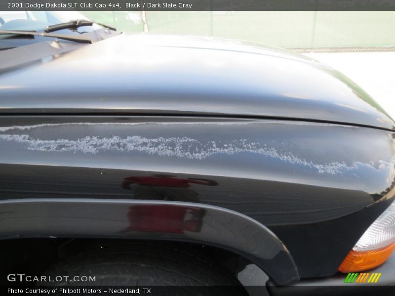 Black / Dark Slate Gray 2001 Dodge Dakota SLT Club Cab 4x4