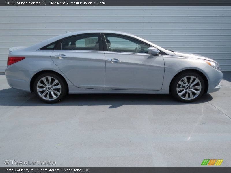 Iridescent Silver Blue Pearl / Black 2013 Hyundai Sonata SE