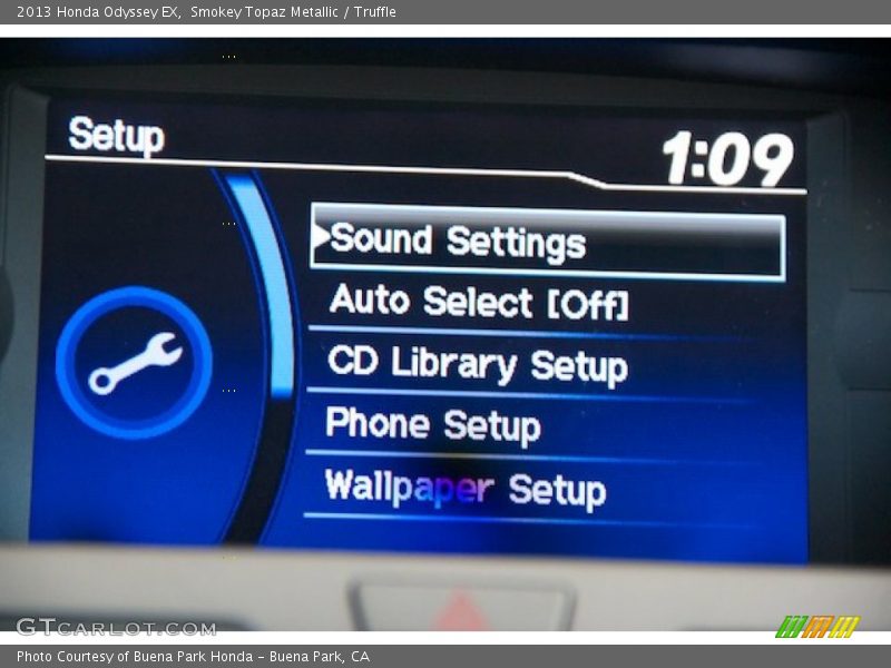 Smokey Topaz Metallic / Truffle 2013 Honda Odyssey EX