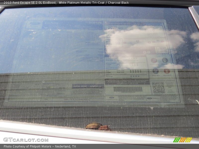 White Platinum Metallic Tri-Coat / Charcoal Black 2013 Ford Escape SE 2.0L EcoBoost