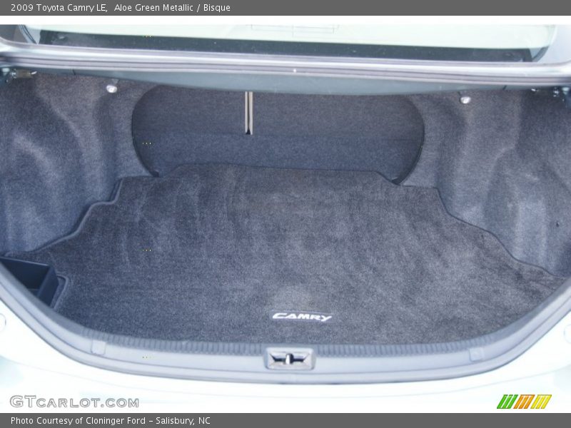 Aloe Green Metallic / Bisque 2009 Toyota Camry LE