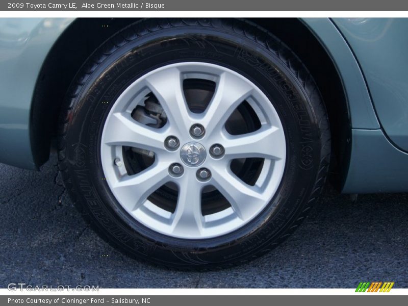 Aloe Green Metallic / Bisque 2009 Toyota Camry LE