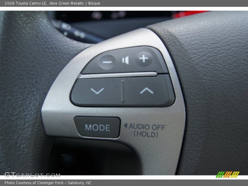 Aloe Green Metallic / Bisque 2009 Toyota Camry LE