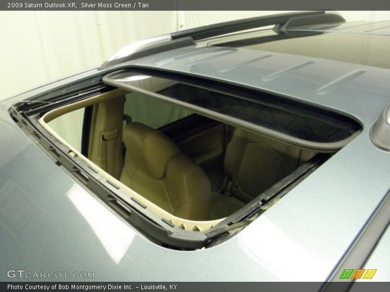 Silver Moss Green / Tan 2009 Saturn Outlook XR